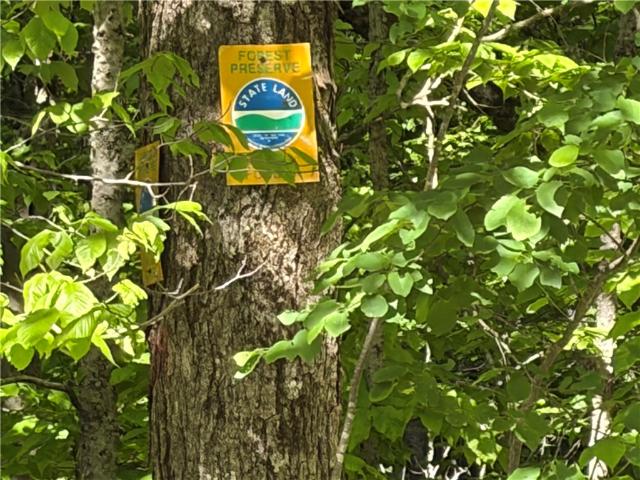 Land for sale in Andes, New York
