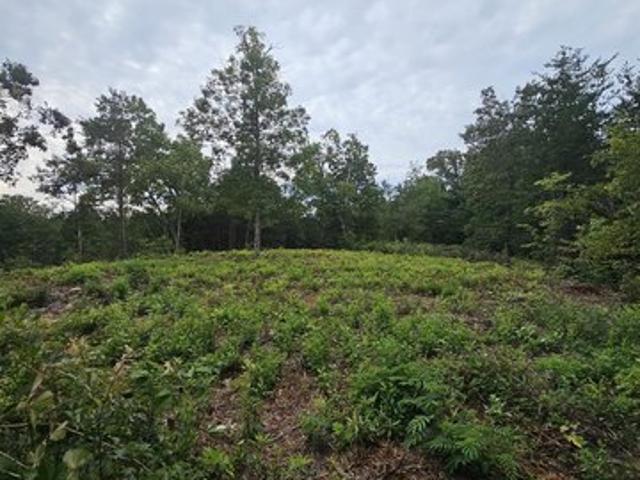 Land for sale in Landrum, South Carolina