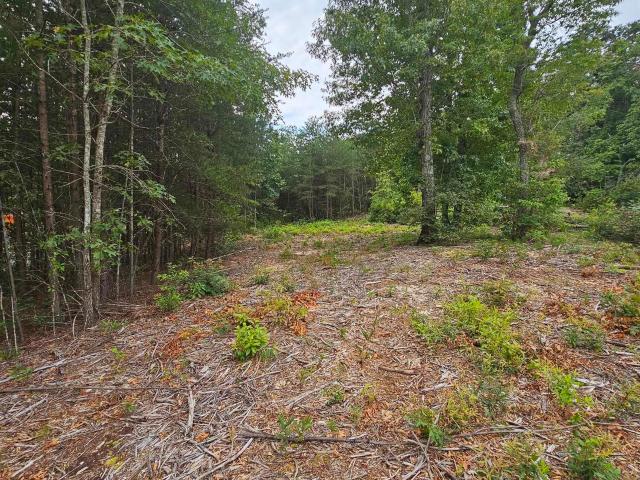Land for sale in Landrum, South Carolina