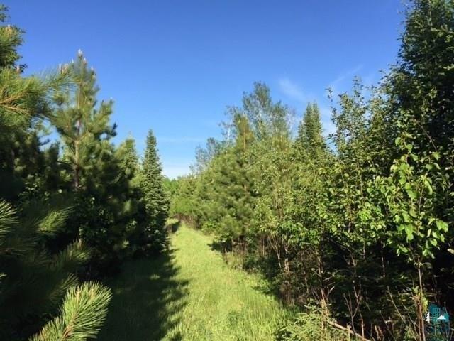 Land for sale in Hovland, Minnesota