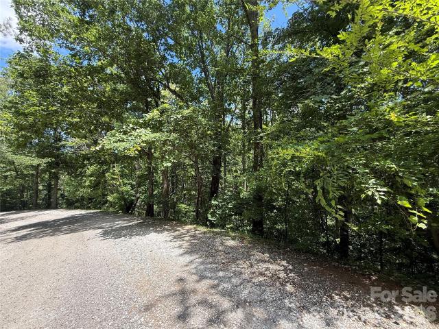 Land for sale in Saluda, North Carolina
