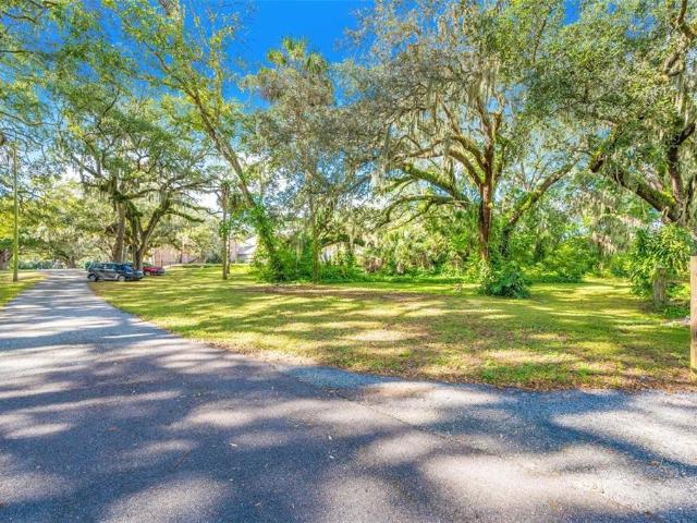 Land for sale in Mango, Florida