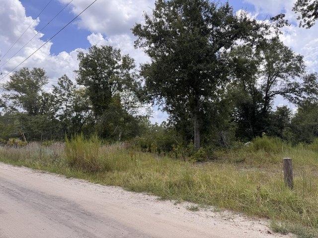 Land for sale in Nicholls, Georgia