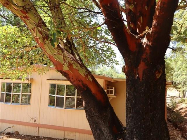 Property for sale in Lake, California