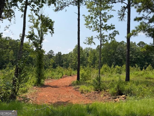 Land for sale in Forsyth, Georgia