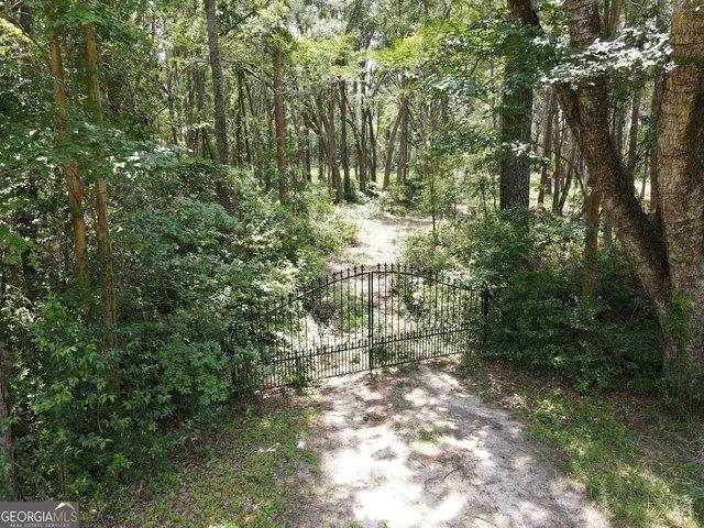 Land for sale in Swainsboro, Georgia
