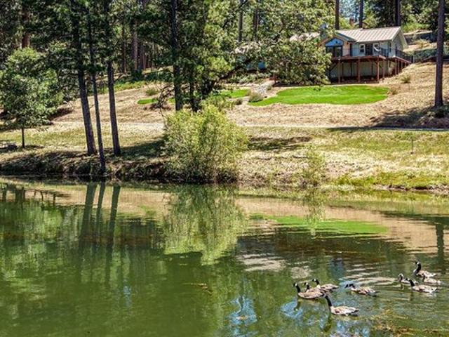 House for sale in Grass Valley, California