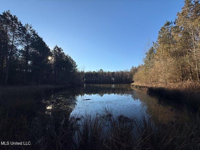 Land for sale in Lena, Mississippi