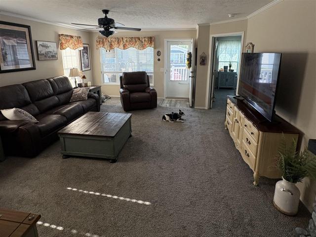House for sale in Isabella, Michigan