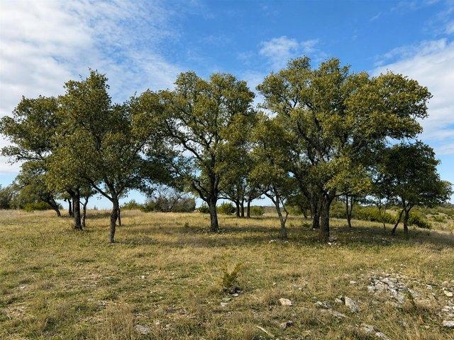 Land for sale in Glen Rose, Texas