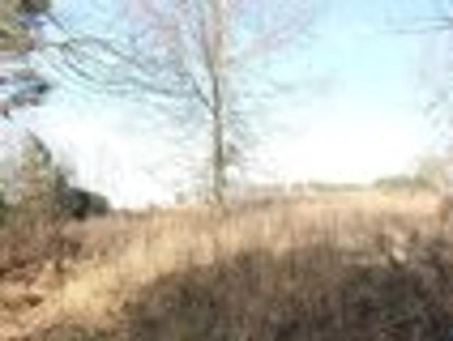 House for sale in Albertville, Alabama