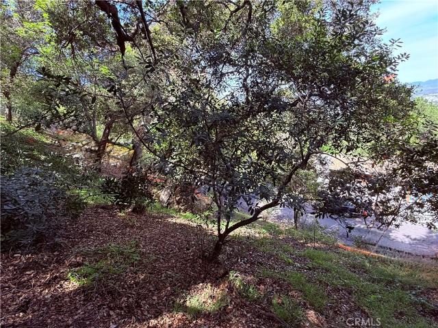 Land for sale in Studio City, Studio City Neighborhood Council District