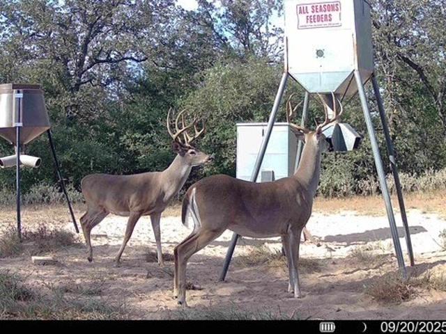 Land for sale in Ottine, Texas