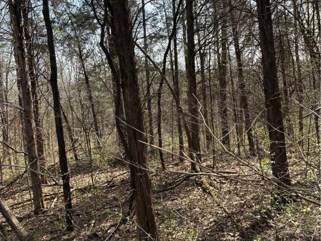 Land for sale in Paoli Historic Downtown, Paoli