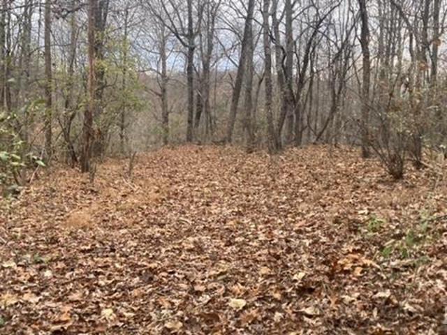 Land for sale in Virginia
