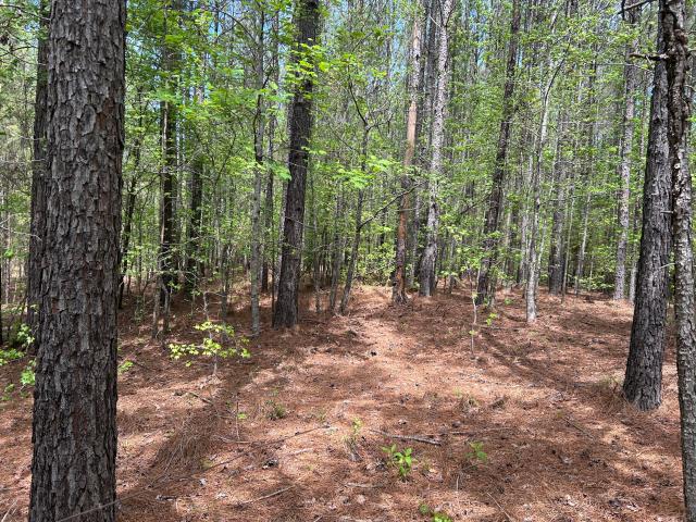 Land for sale in Tignall, Georgia