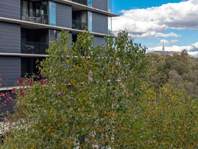 Apartment for rent in Belconnen Dc, Australian Capital Territory