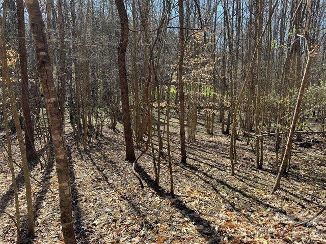 Land for sale in Davidson, Mecklenburg County