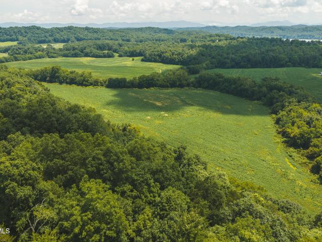 Land for sale in Tennessee