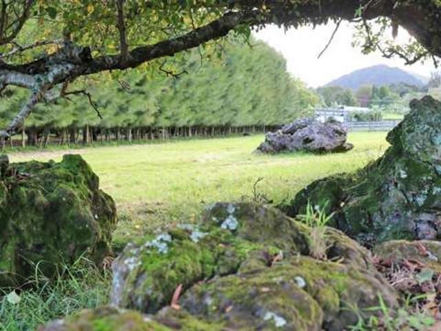 Land for sale in Whangarei, Northland