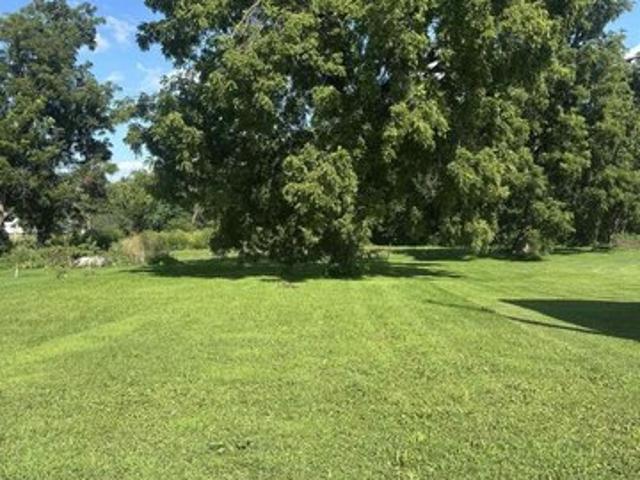 Land for sale in Charlotte, Iowa