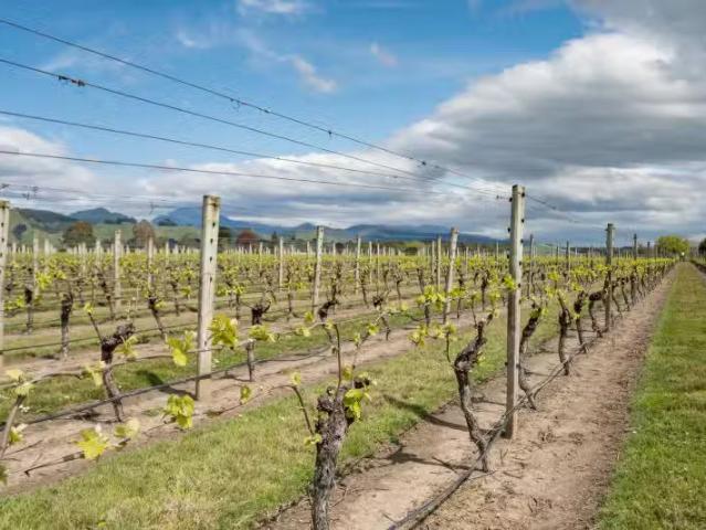 House for sale in Tasman