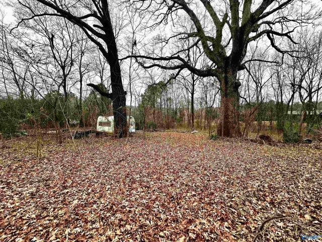 Land for sale in Valley Head, Alabama