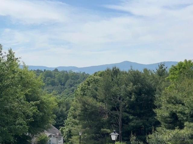Condo for sale in Alleghany, North Carolina