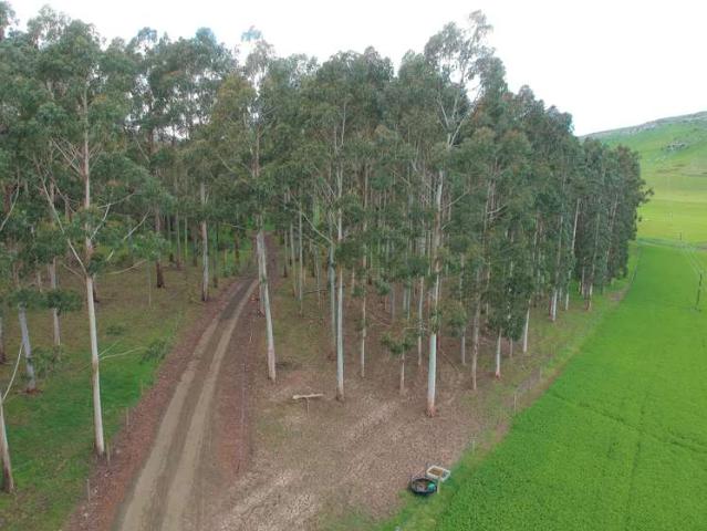 Property for sale in Otakou