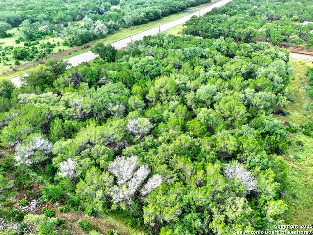 Land for sale in Hondo