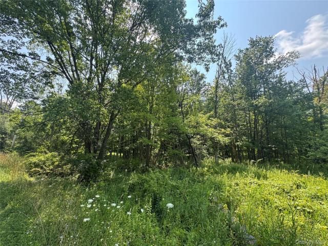 Land for sale in Howells, New York