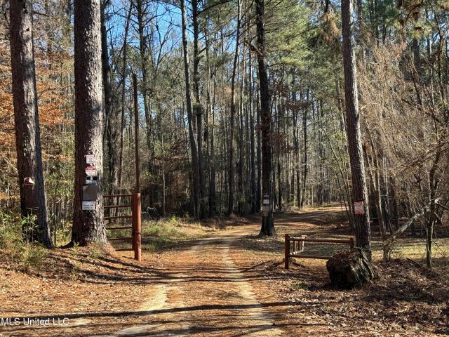 Land for sale in Roxie, Mississippi
