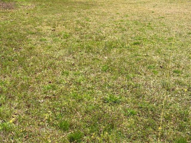Land for sale in Bonneau, South Carolina