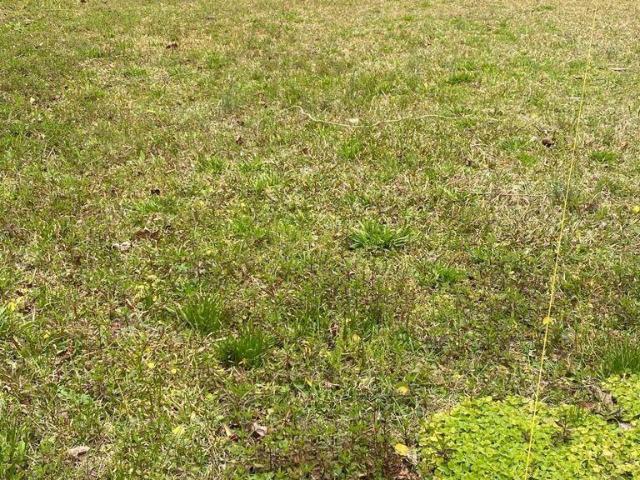 Land for sale in Bonneau, South Carolina