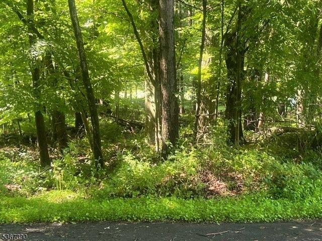 Land for sale in Montague, New Jersey