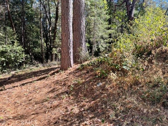 Land for sale in Old Forbestown, Forbestown