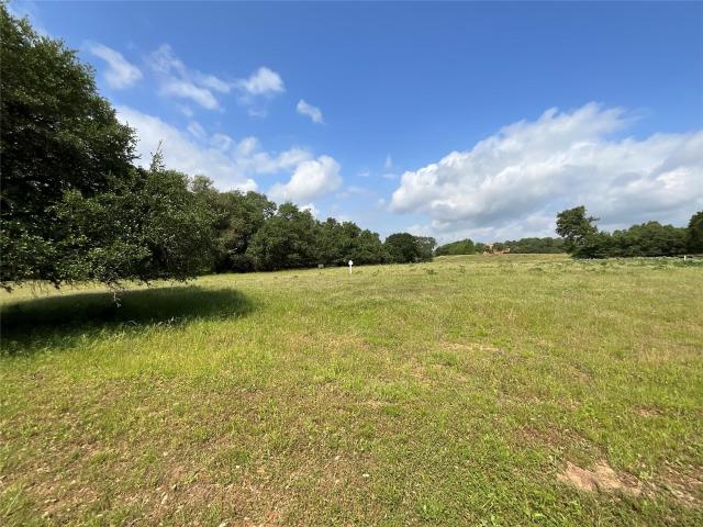 Land for sale in Columbus, Texas