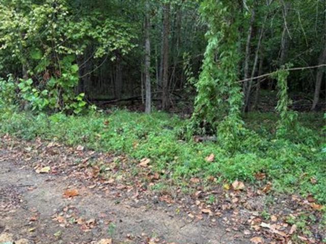 Land for sale in Selma, Alabama