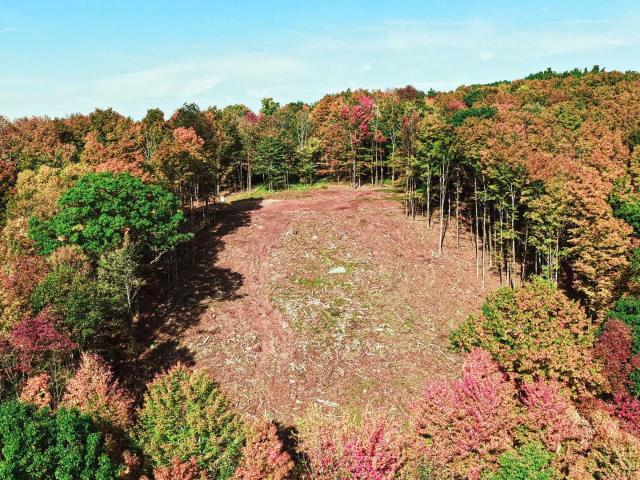 Land for sale in Town of Neversink, Sullivan County