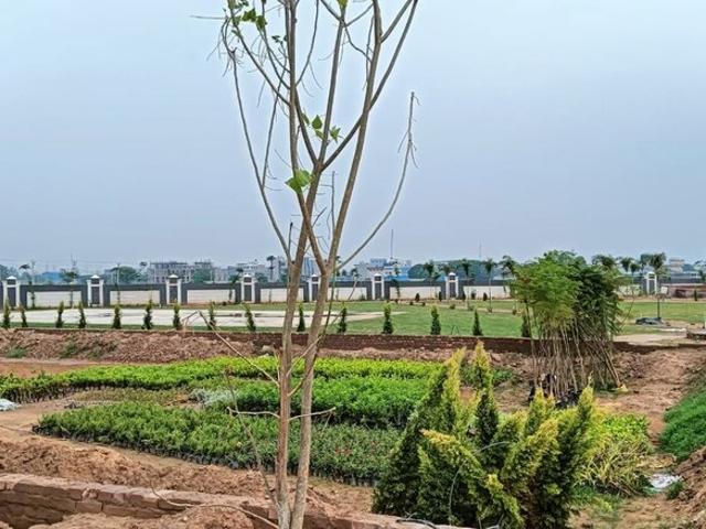 Land for sale in Hariana