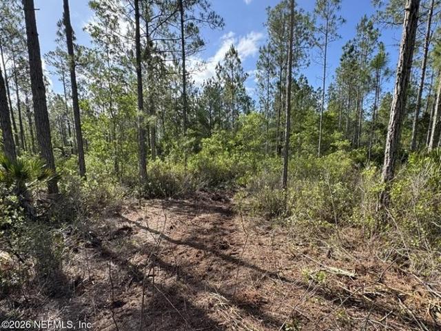 Land for sale in Palatka, Florida