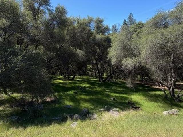 Land for sale in Penn Valley, California