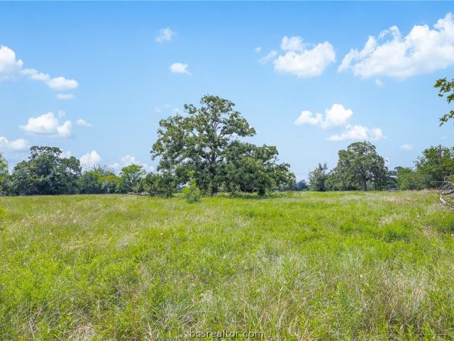 Land for sale in College Station, Texas