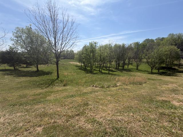 Land for sale in Tennessee