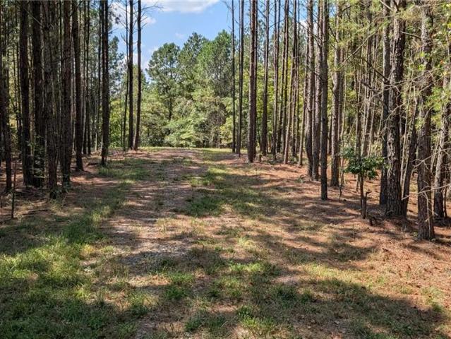 Land for sale in Ball Ground, Cherokee County