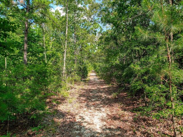 Land for sale in Aiken, South Carolina