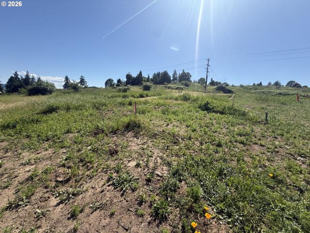 Land for sale in White Salmon, Washington