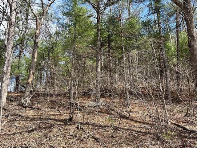 Land for sale in Bedford, Pennsylvania