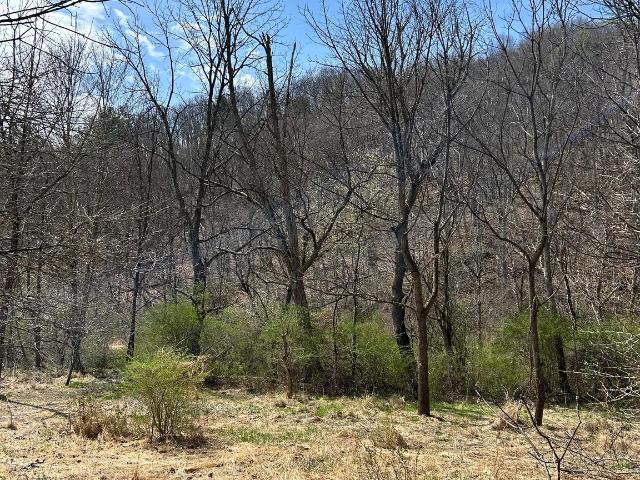 Property for sale in Bedford, Pennsylvania