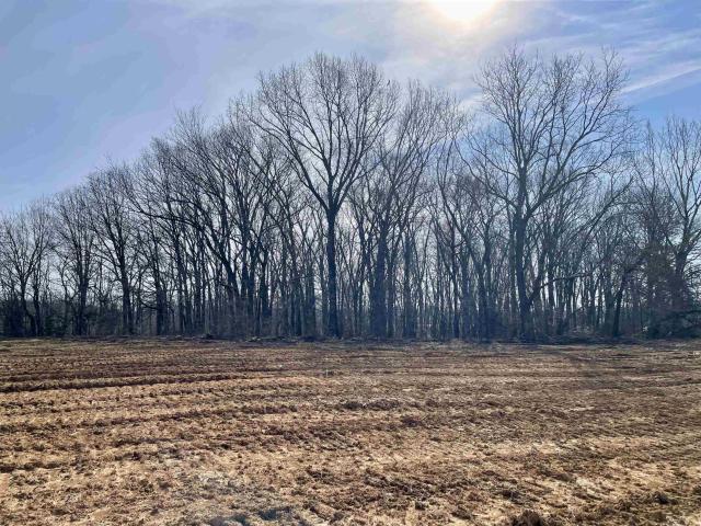 Land for sale in Tennessee